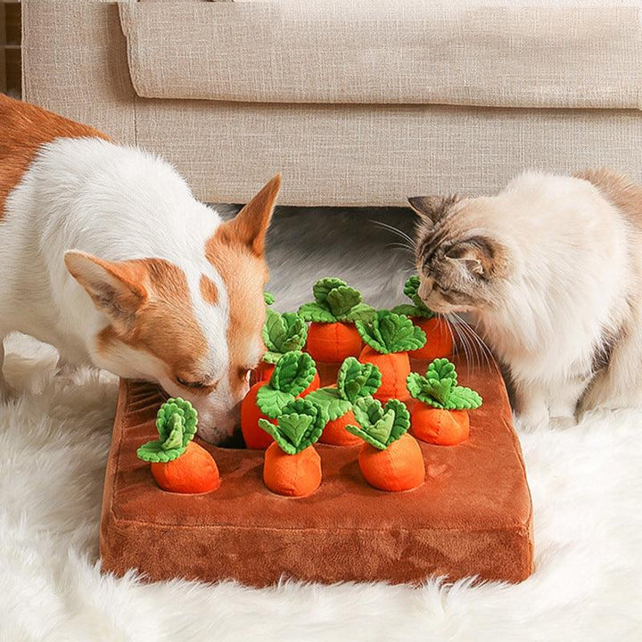 Interactive Carrot Plush Toy